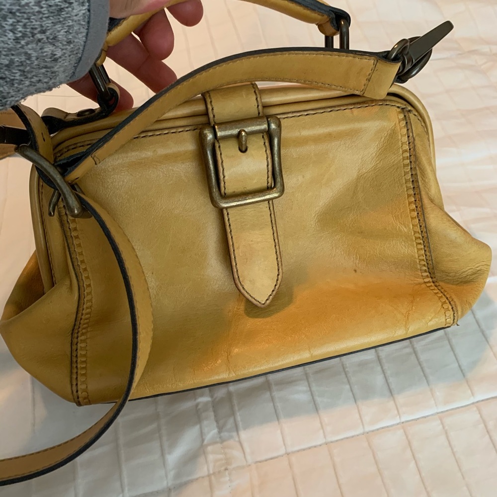 Rare fossil purse